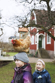 Hen on girl's head - FOLF11544