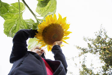 Girl holding sunflower - FOLF11569