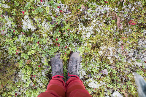 Boots of woman standing by cowberry - FOLF11572