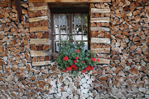 Fenster mit Blumen, Holzchalet in den französischen Alpen, Sallanches, Haute-Savoie, Frankreich, Europa - RHPLF22279