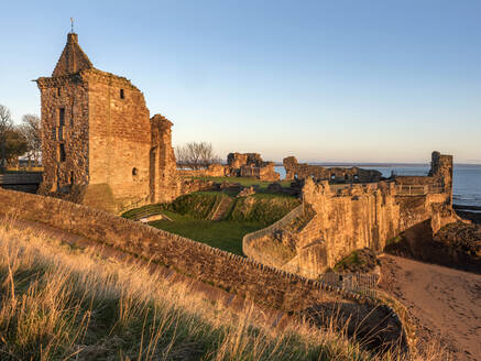 St. Andrews Castle bei Sonnenaufgang, St. Andrews, Fife, Schottland, Vereinigtes Königreich, Europa - RHPLF22291
