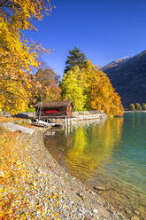 Haus auf Stelzen am Ufer des Poschiavo-Sees im Herbst, Valposchiavo, Kanton Graubünden, Schweiz, Europa - RHPLF22316