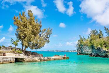 Admiralty House Park, Pembroke Parish, Bermuda, Atlantik, Mittelamerika - RHPLF22331