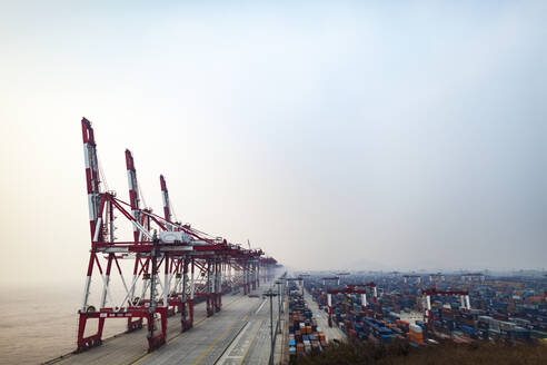 Cranes and shipping containers at port - FOLF11667