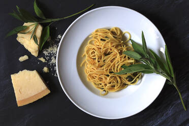 Plate of pasta with sage and Parmesan - JTF02115
