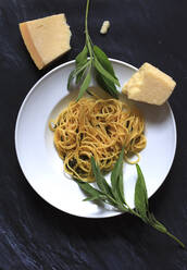 Plate of pasta with sage and Parmesan - JTF02117
