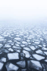 Ice floating in river Havel - ASCF01705