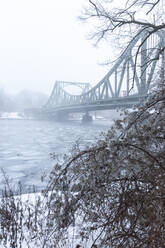 Deutschland, Brandenburg, Potsdam, Eisschwimmen auf der Havel mit Glienicker Brücke im Hintergrund - ASCF01707