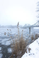 Germany, Brandenburg, Potsdam, Ice floating in river Havel with Glienicke Bridge in background - ASCF01708