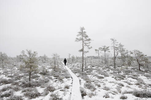 Woman walking on trail in snowy forest - FOLF11738