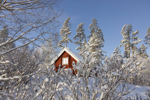 Hütte im verschneiten Wald - FOLF11739