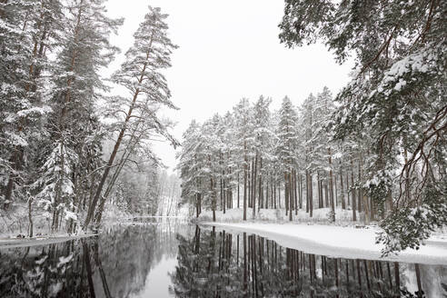 Fluss im verschneiten Wald - FOLF11740