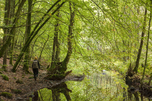 Frau beim Wandern im Wald am Fluss in Kolva Hallar, Schweden - FOLF11748
