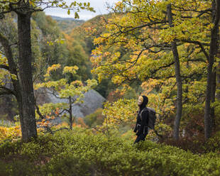 Frau beim Wandern im Herbstwald in Kolva Hallar, Schweden - FOLF11749