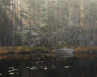 Teich im Wald im Tiveden-Nationalpark, Schweden - FOLF11756