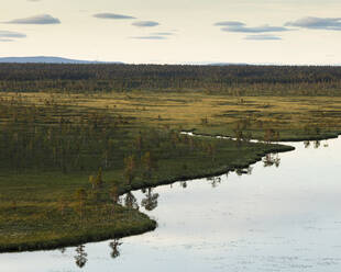 Muttoslippai-See im Muddus-Nationalpark, Schweden - FOLF11767