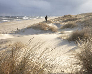 Woman on sand dunes at beach - FOLF11784