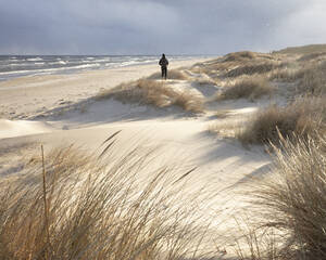 Frau auf Sanddünen am Strand - FOLF11784