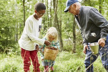 Mann mit seinen Enkelkindern im Wald - FOLF11797