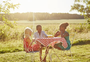 Geschwister am Picknicktisch bei Sonnenuntergang - FOLF11806