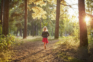 Girl walking in forest at sunset - FOLF11811