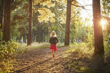 Mädchen spaziert im Wald bei Sonnenuntergang - FOLF11811
