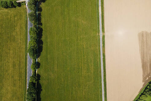 Luftaufnahme einer Straße auf dem Lande in der Nähe eines Weizenfeldes, Saint-Amans-Soult, Frankreich. - AAEF14882