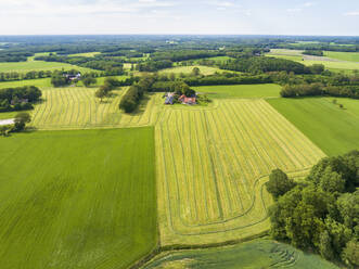 Ripe agricultural field at sunset, Vojvodina, Serbia stock photo