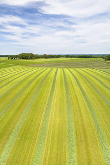 Aerial view of countryside with mowed grass in meadows in hilly landscape, Nutter, Ootmarsum, Twente, Overijssel, Netherlands. - AAEF14924