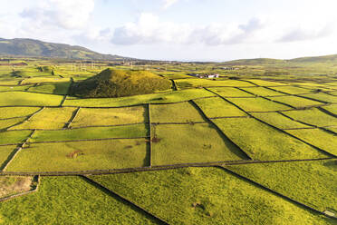 Luftaufnahme der vulkanischen Insel Terceira mit Feldern und Häusern, Azoren, Portugal. - AAEF14946