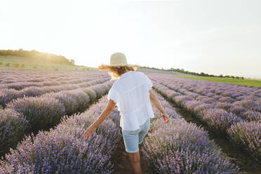 Woman touching lavender flowers walking in field - SIF00265