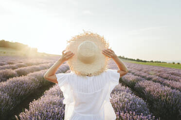 Woman wearing hat standing in lavender field at sunset - SIF00275