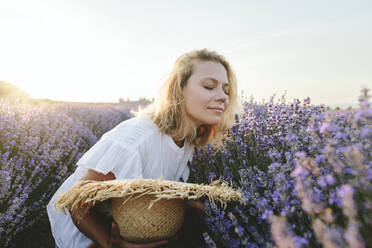 Woman smelling lavender plants on field at sunset - SIF00285