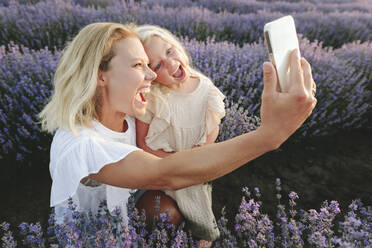 Fröhliche Mutter nimmt Selfie mit Tochter durch Handy inmitten von Lavendelblumen - SIF00308