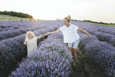 Happy mother with daughter holding hand walking in lavender field - SIF00317