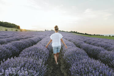 Frau geht inmitten von Lavendelblüten auf einem Feld bei Sonnenuntergang - SIF00318