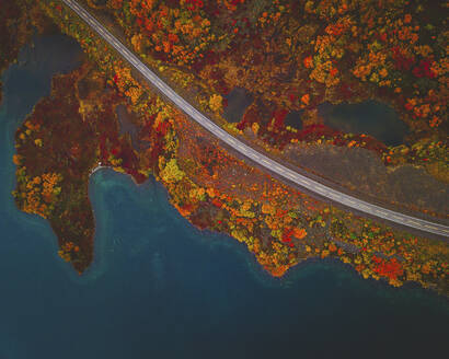 Aerial view of a winding road in Norway. - AAEF15003