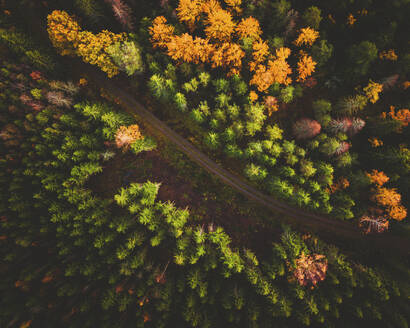 Aerial view of the Swedish Autumn colours, Sweden. - AAEF15034