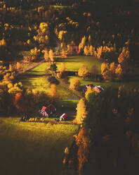 Luftaufnahme eines Hauses auf dem Lande, Bjornlunda, Schweden. - AAEF15035
