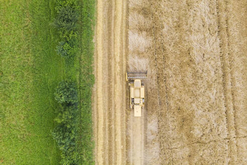 Luftaufnahme eines Traktors auf dem Land in der Nähe von Chavannaz, Frankreich. - AAEF15058