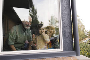 Lächelnde Großeltern mit Enkelin (4-5) durch ein Fenster gesehen - TETF01678
