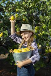 Freundlicher kleiner Gärtner in Freizeitkleidung mit Hut, der einen Eimer mit reifen Zitronen trägt und lächelnd in die Kamera blickt, während der Ernte an einem sonnigen Tag auf einem Bauernhof - ADSF35693