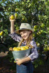 Friendly little gardener in casual clothes with hat carrying bucket with ripe lemons and looking at camera with smile during harvest on sunny day on farm - ADSF35693