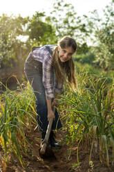 Full body little gardener in casual clothes using hoe to remove weeds from soil near green scallions while working in sunlit field in summer - ADSF35697