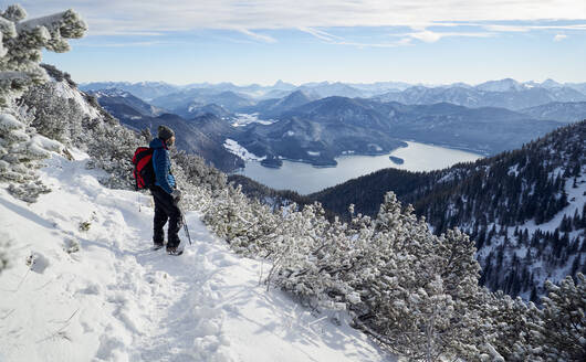 Wanderer mit Rucksack mit Blick auf den Walchensee vom Herzogstand, Bayerische Voralpen, Bayern, Deutschland - PSBHF00019