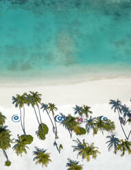 Luftaufnahme eines Strandes auf den Malediven, Indischer Ozean, Asien - RHPLF22349