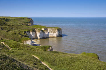 Flamborough Head, Yorkshire, England, Vereinigtes Königreich, Europa - RHPLF22358