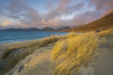 Strandhafer und Sanddünen am Strand von Luskentyre, Blick auf die North Harris Forest Hills, South Harris, Äußere Hebriden, Schottland, Vereinigtes Königreich, Europa - RHPLF22406