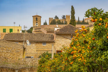 View of orange trees near Performing Arts Theatre in old town Arta, Arta, Majorca, Balearic Islands, Spain, Mediterranean, Europe - RHPLF22426