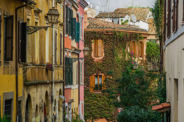 Traditionelle Straßenhäuser mit lebhaften Hängepflanzen in der Altstadt von Trastevere, Rom, Latium, Italien, Europa - RHPLF22481